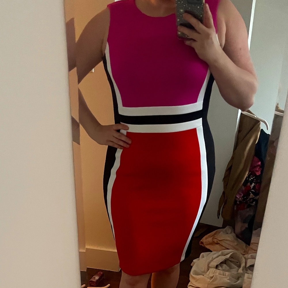 Pink Red Calvin Klein Sheath Dress Sz 6